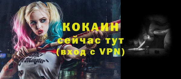 винт Осинники