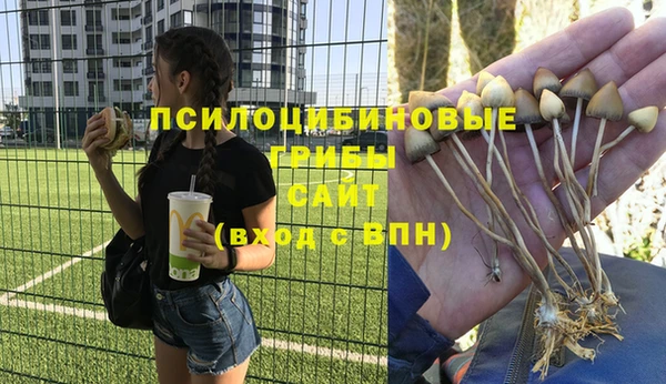 дживик Пересвет