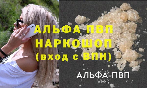 ГАЛЛЮЦИНОГЕННЫЕ ГРИБЫ Осташков