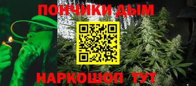 сатива Гай
