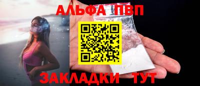 сатива Гай