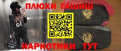 сатива Гай