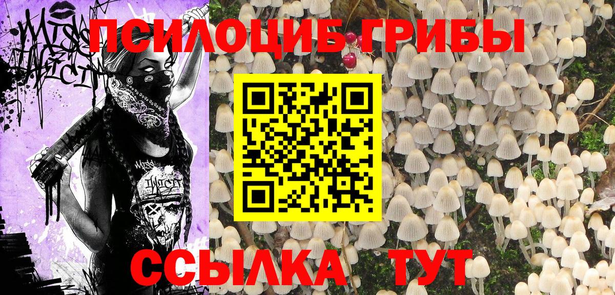 Галлюциногенные грибы GOLDEN TEACHER  даркнет сайт  Мирный 