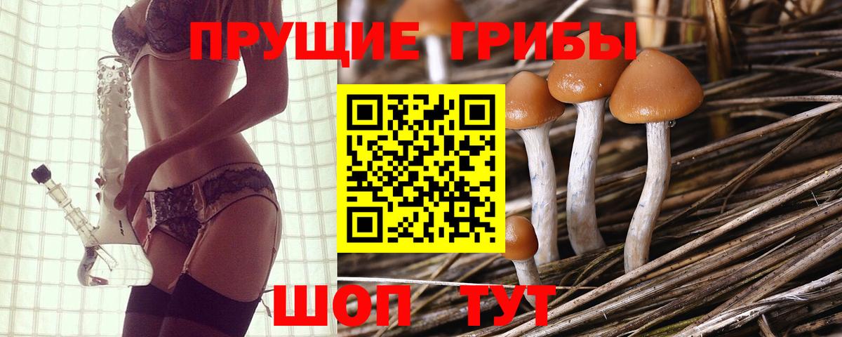 Псилоцибиновые грибы ЛСД  Псилоцибиновые грибы Magic Shrooms  Мирный  Вход с VPN 