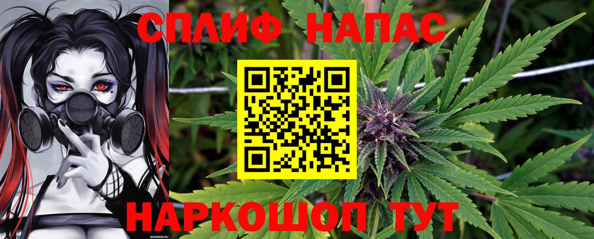 Каннабис конопля Мирный
